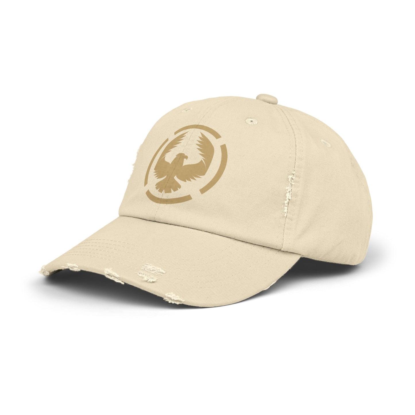 The Calvary Academy Vintage Eagle Distressed Hat